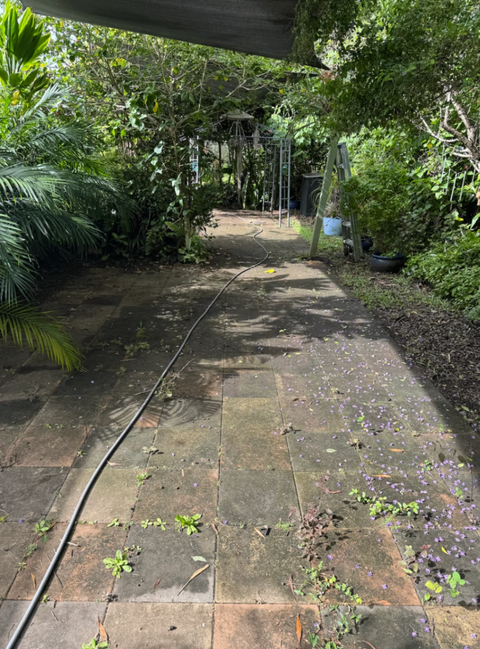Garden paving covered in dirt and leaf debris