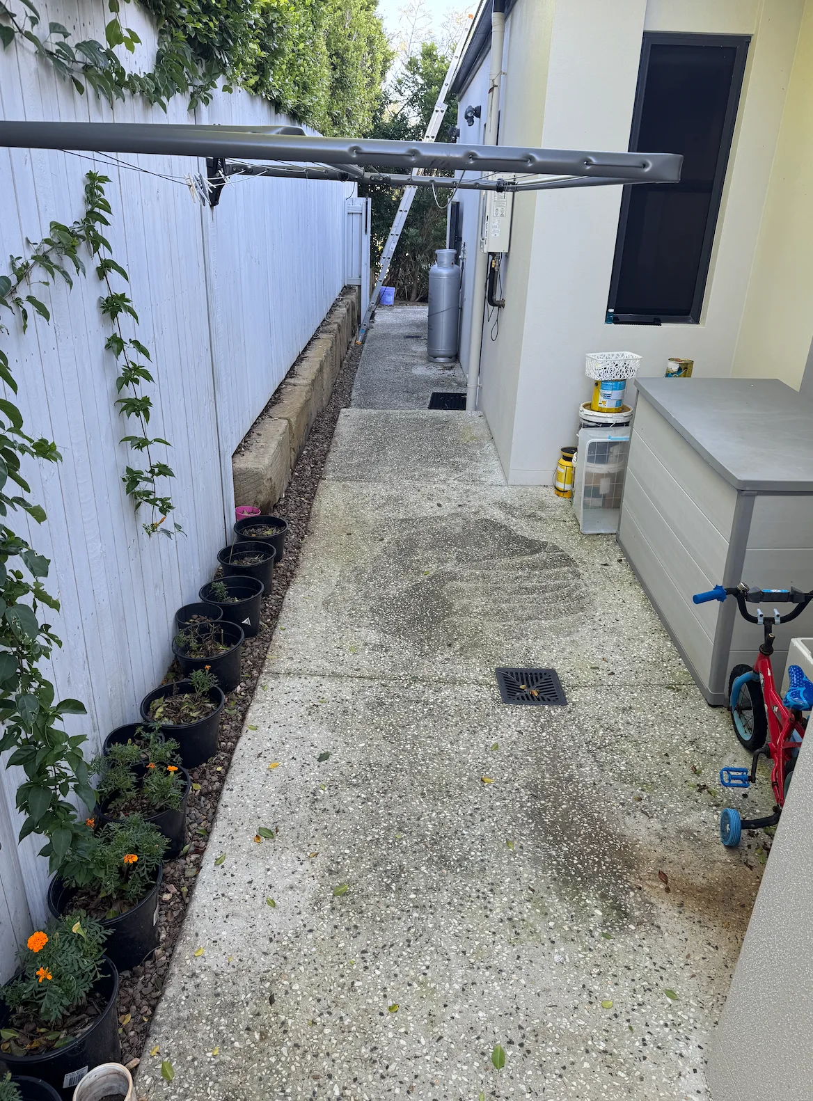 Narrow side path with dark grime stains beside a white fence